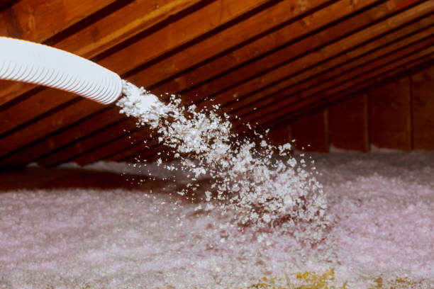 Best Insulation Contractors for Homes  in Sand Lake, MI