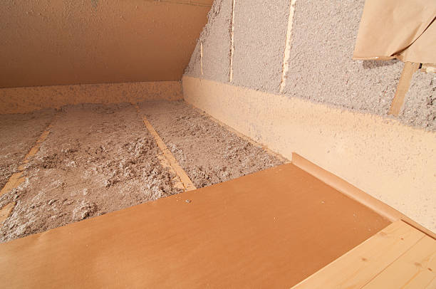Best Insulation Inspection Services  in Sand Lake, MI