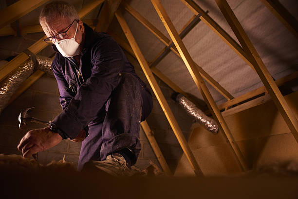 Best Soundproof Insulation Installation  in Sand Lake, MI